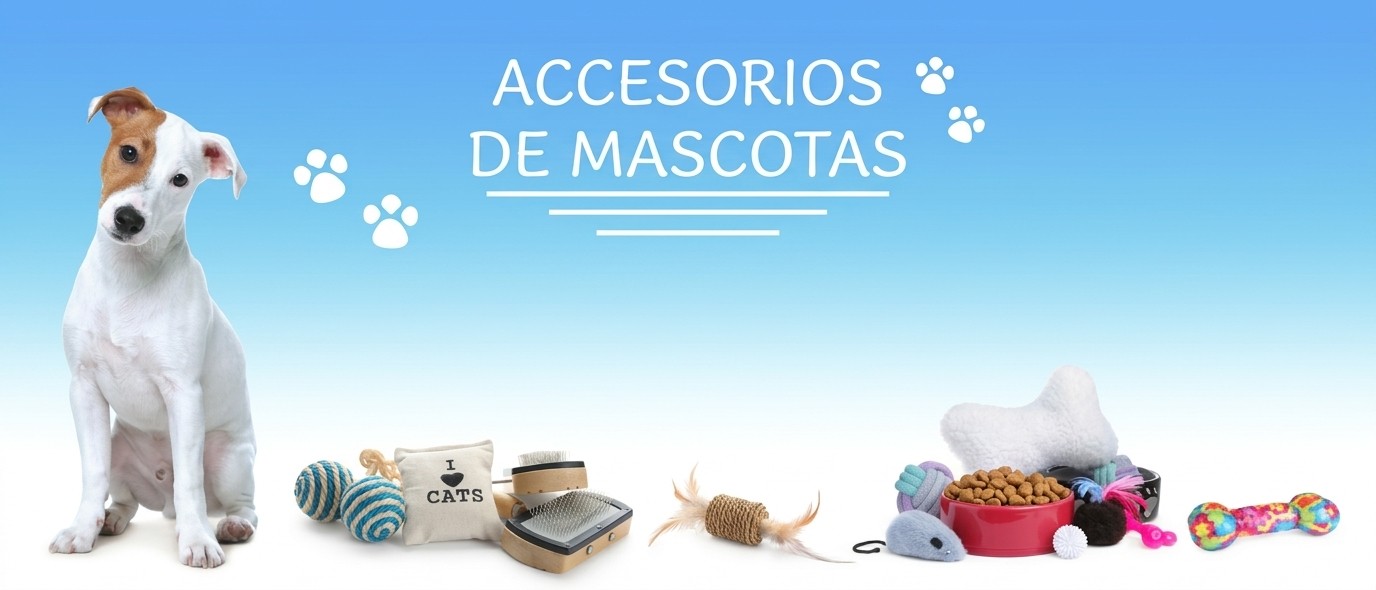Todos los accesorios